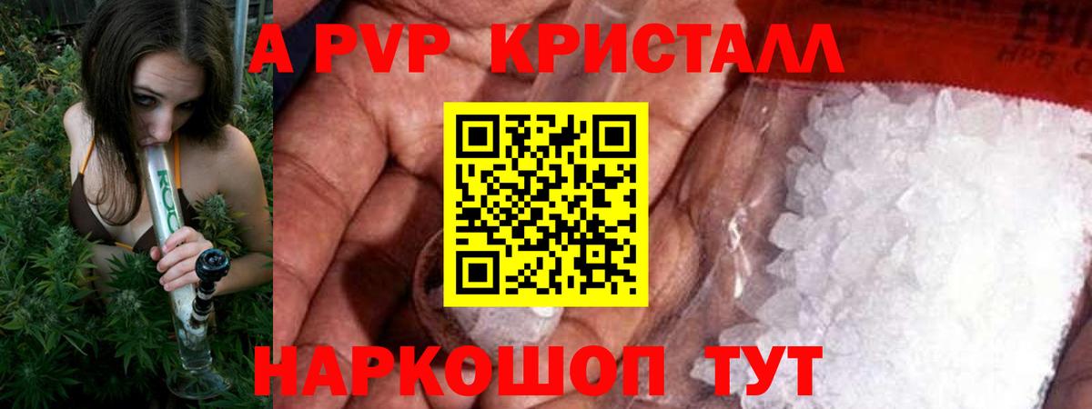 А ПВП крисы CK Ачхой-Мартан