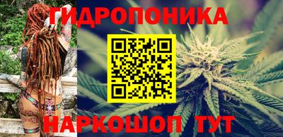 jwh Брянск