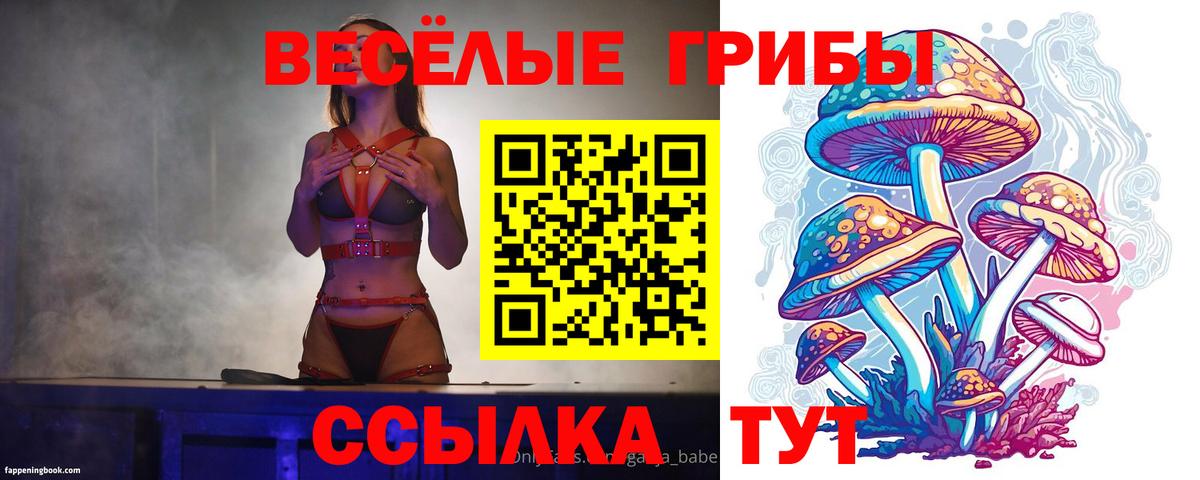 Галлюциногенные грибы Cubensis  Вход с VPN  Ачхой-Мартан 